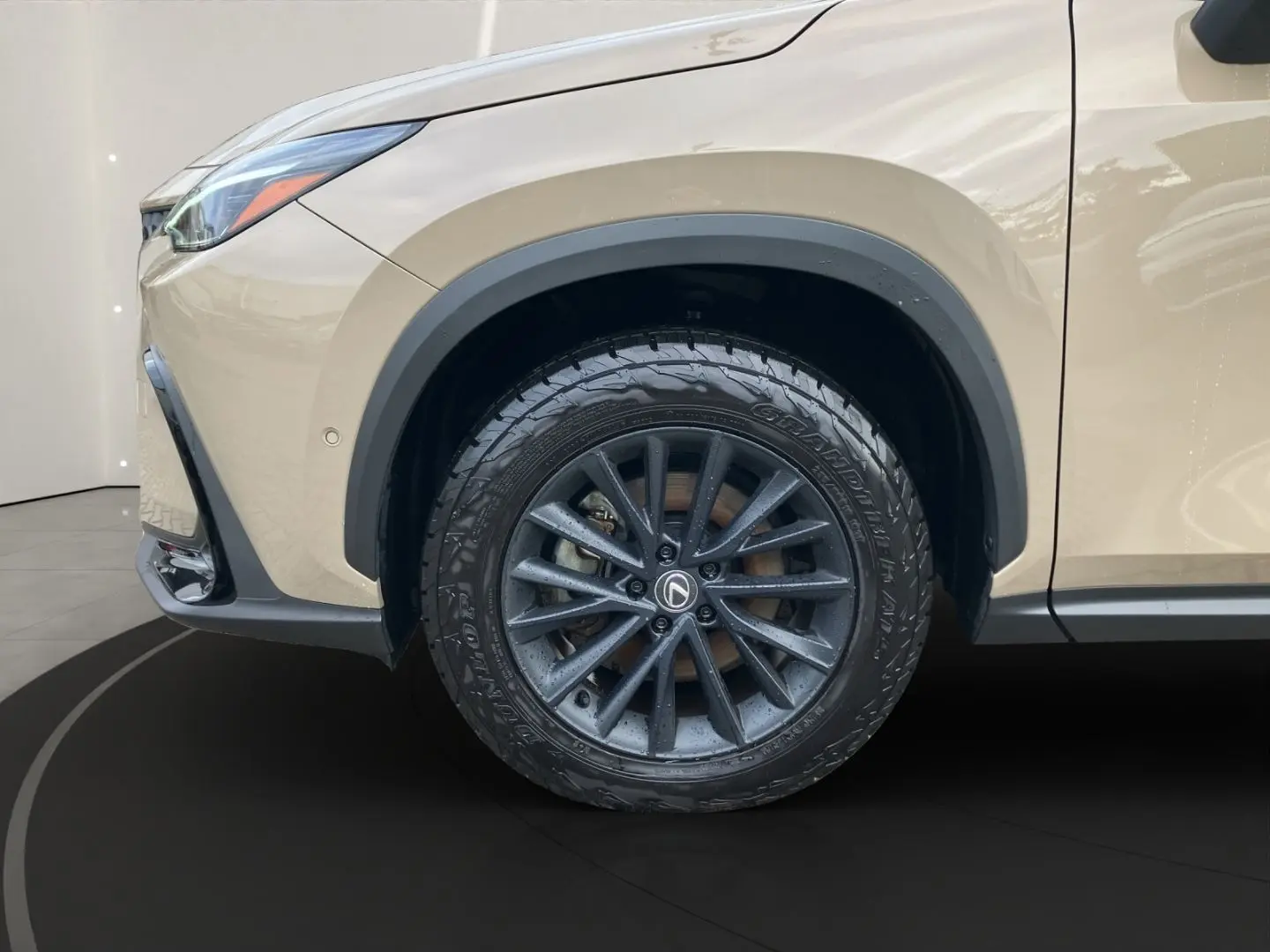 NX 350h E-Four OVETRAIL Ventilation 360 MarkLev