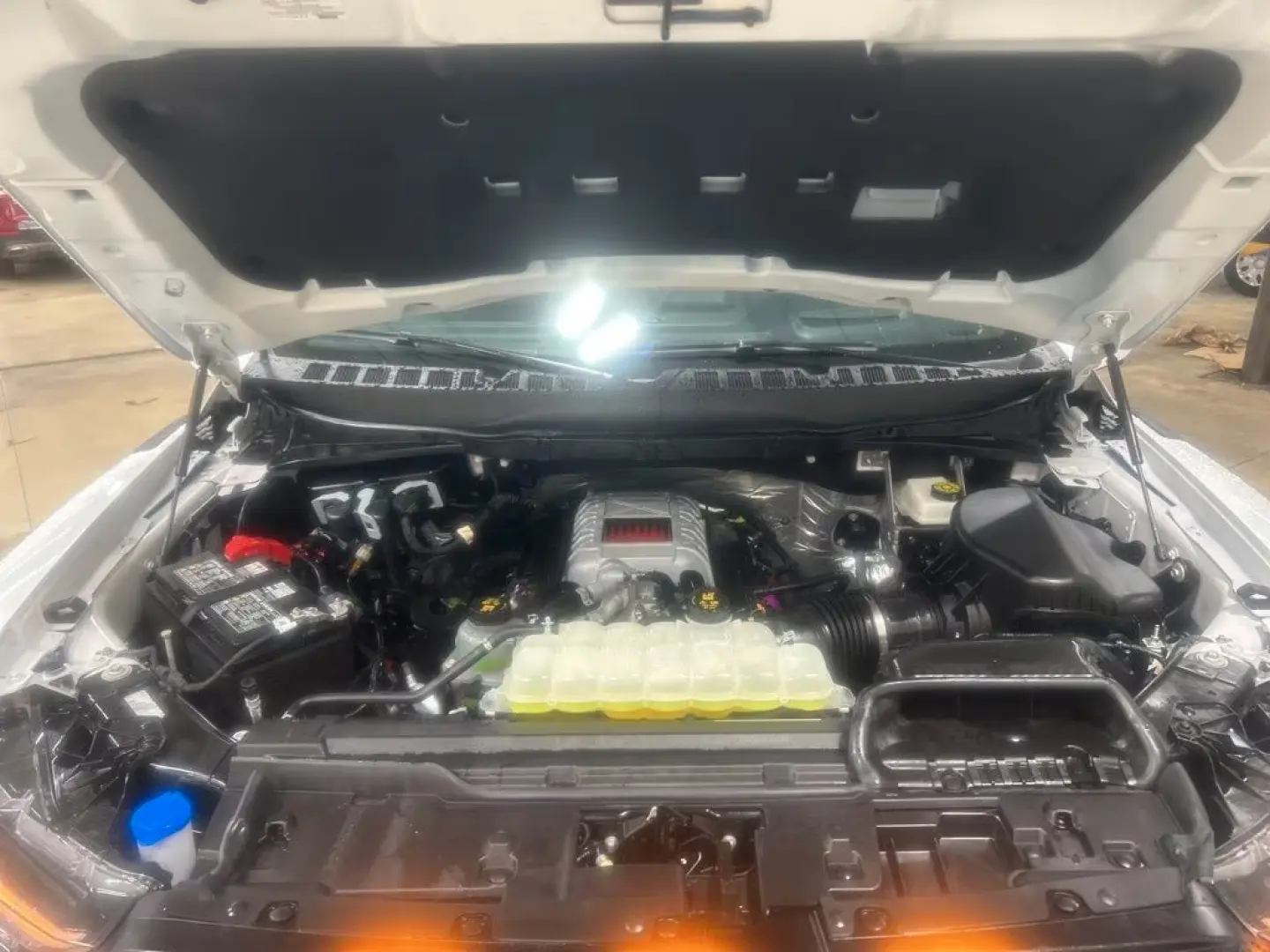 Ford F 150 F-150 Raptor R MY25