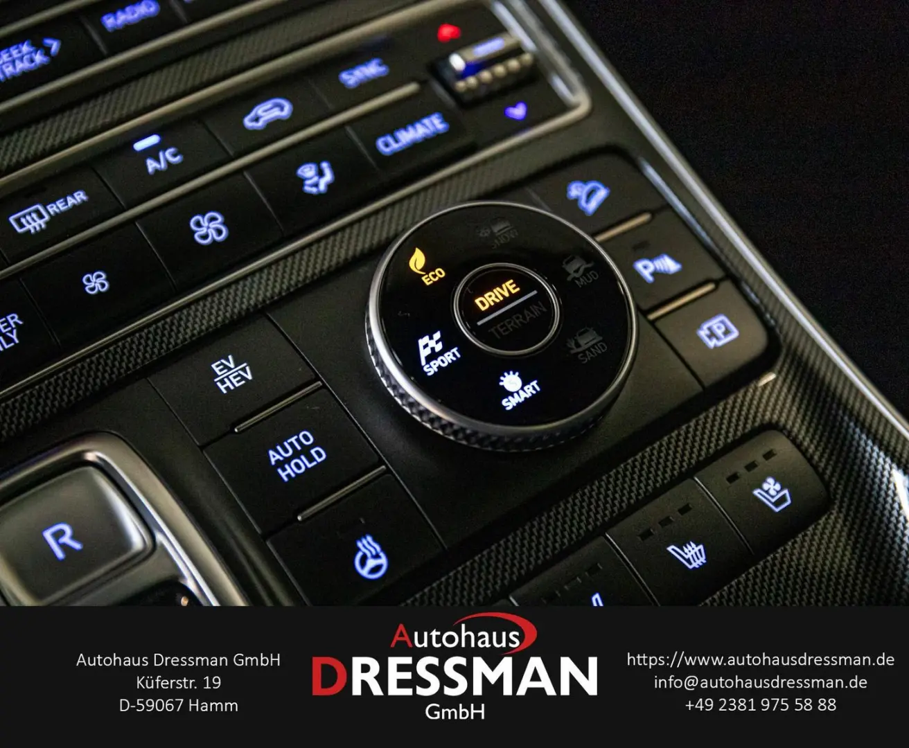 SANTA FE Prime Plug-In Hybrid 4WD PANO LED KRELL