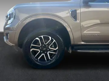 Ranger Limited Doka Pritsche-Rollo AHK 7J Garant