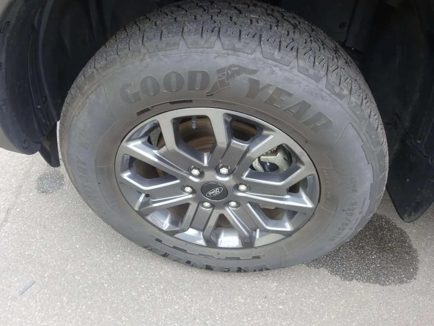 Ranger Wildtrak 4WD Doppelkabine AHK Laderaumrol