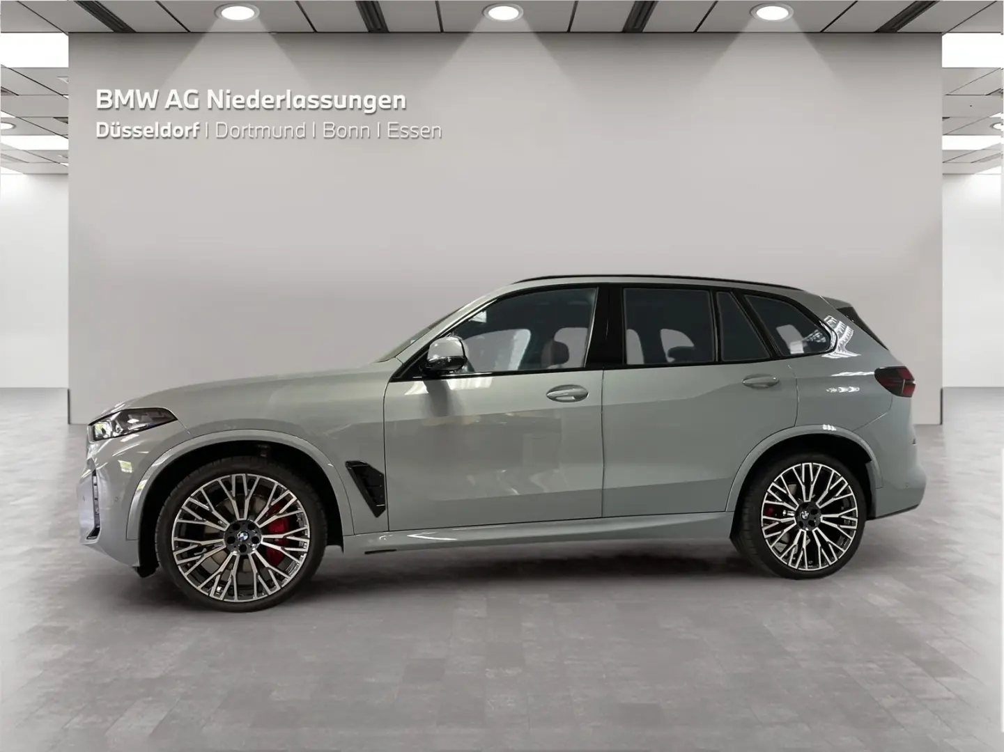 X5 xDrive40d M Sport Standheizung AHK Kamera
