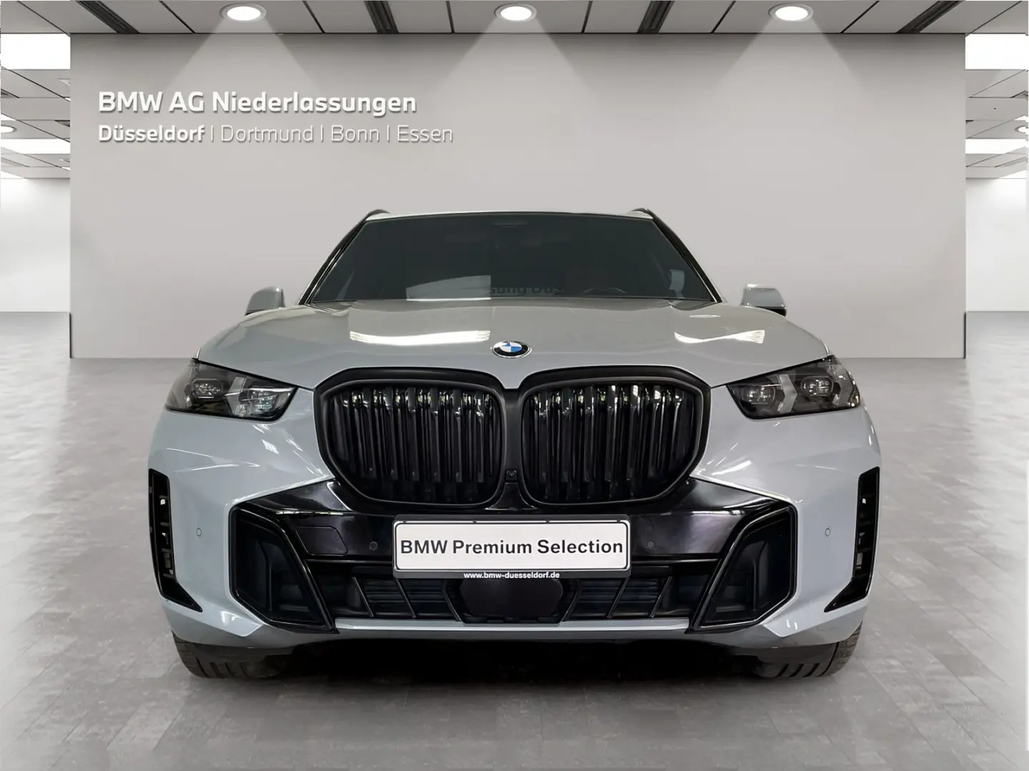 X5 xDrive40d M Sport Standheizung AHK Kamera