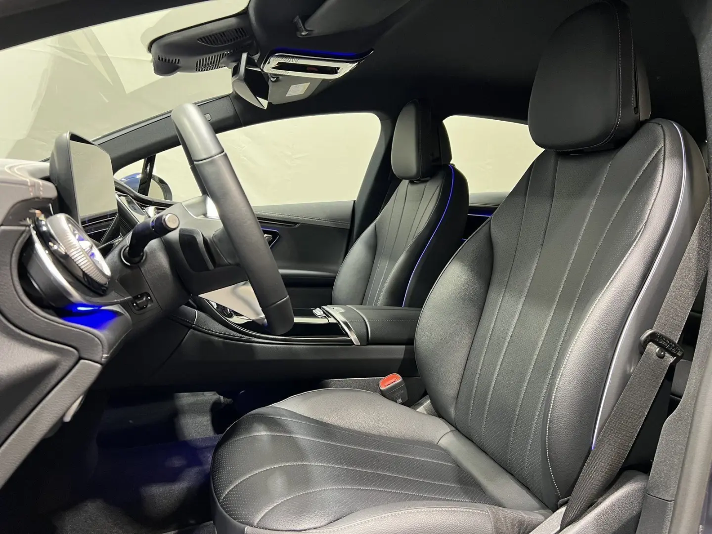 EQE 300 Electric Art Advanced Memory ServiceCare