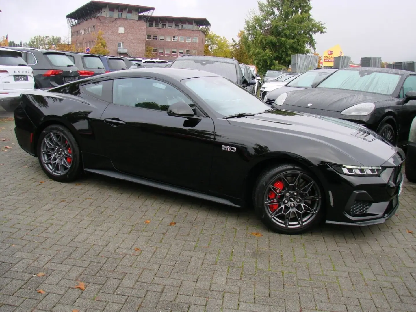 Mustang 5 0Ti-VCT V8 328 GT Fastback  ACC