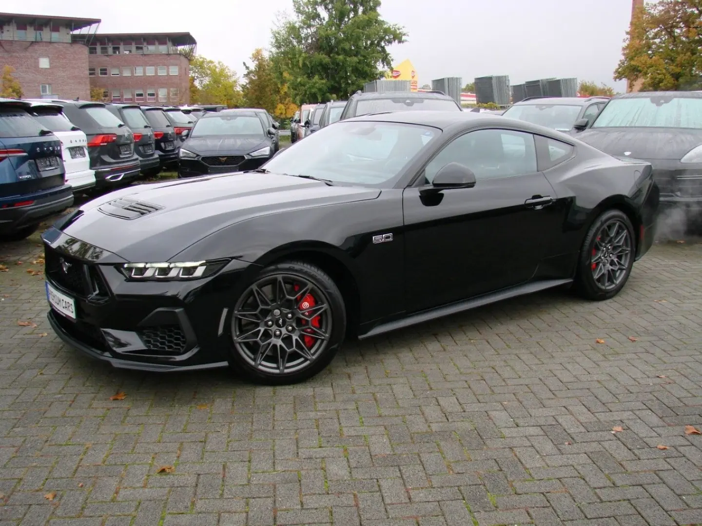 Mustang 5 0Ti-VCT V8 328 GT Fastback  ACC