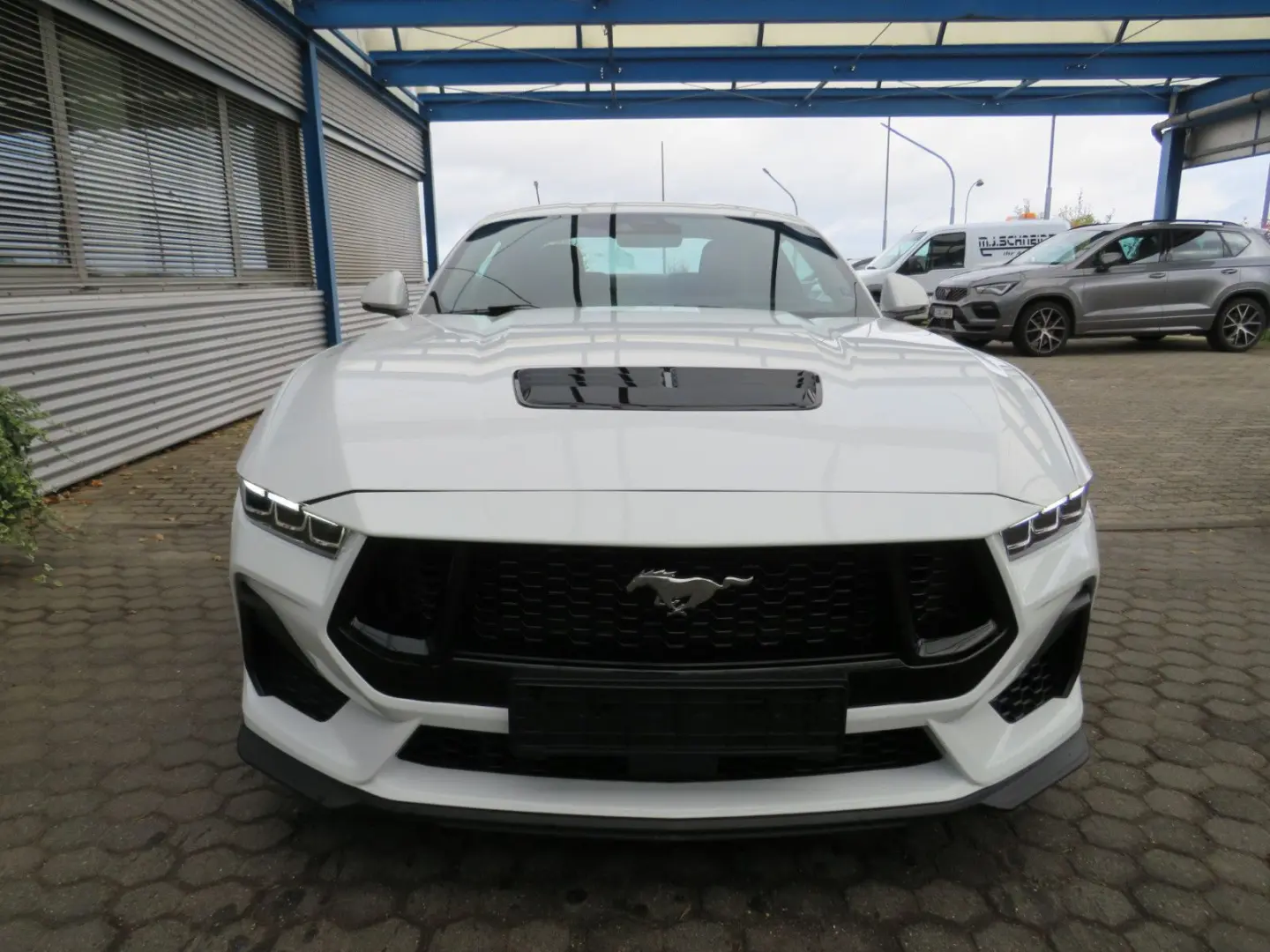 Mustang Fastback 5.0 Ti-VCT V8 328 GT DE Modell