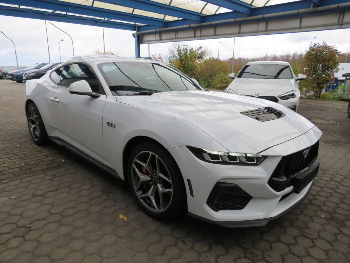 Mustang Fastback 5.0 Ti-VCT V8 328 GT DE Modell