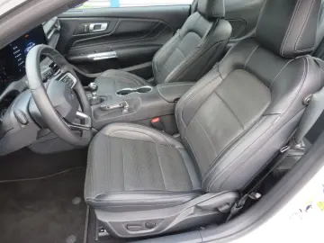 Mustang Fastback 5.0 Ti-VCT V8 328 GT DE Modell