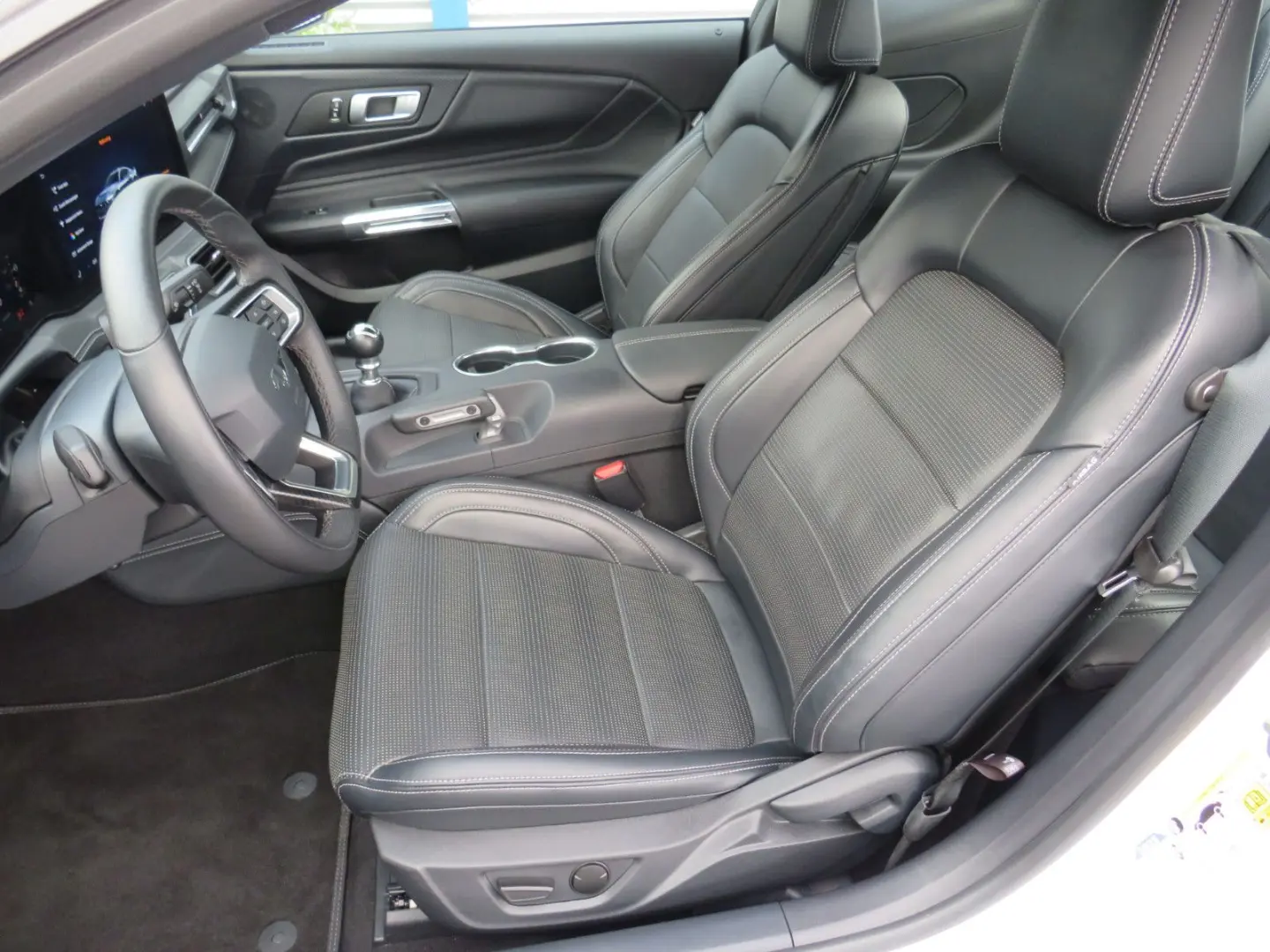 Mustang Fastback 5.0 Ti-VCT V8 328 GT DE Modell