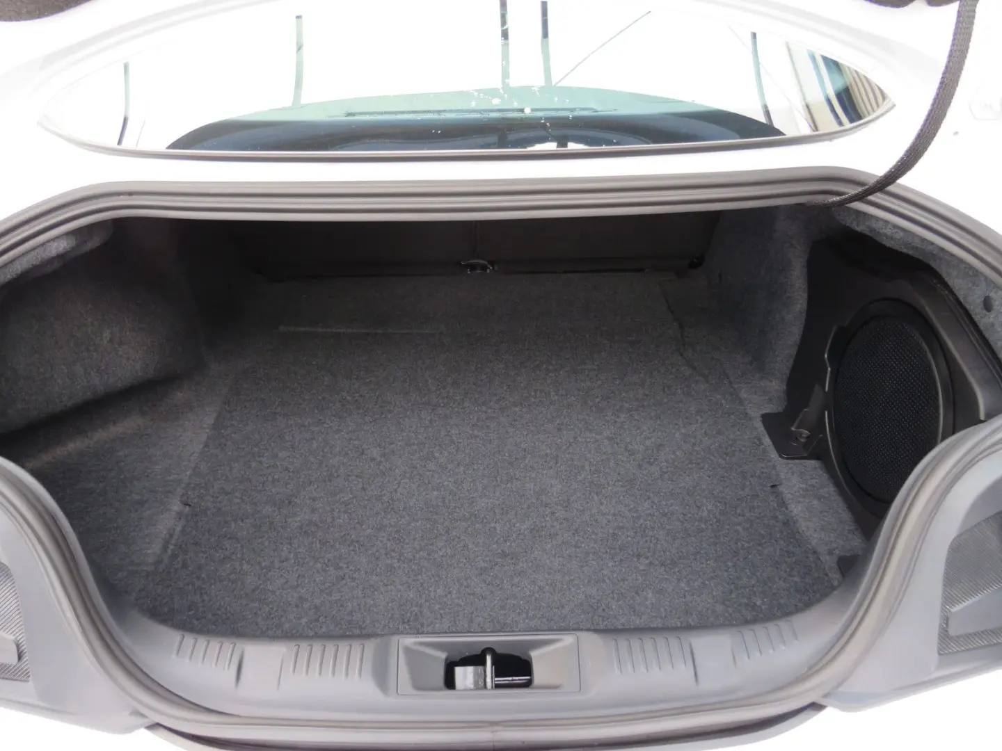 Mustang Fastback 5.0 Ti-VCT V8 328 GT DE Modell