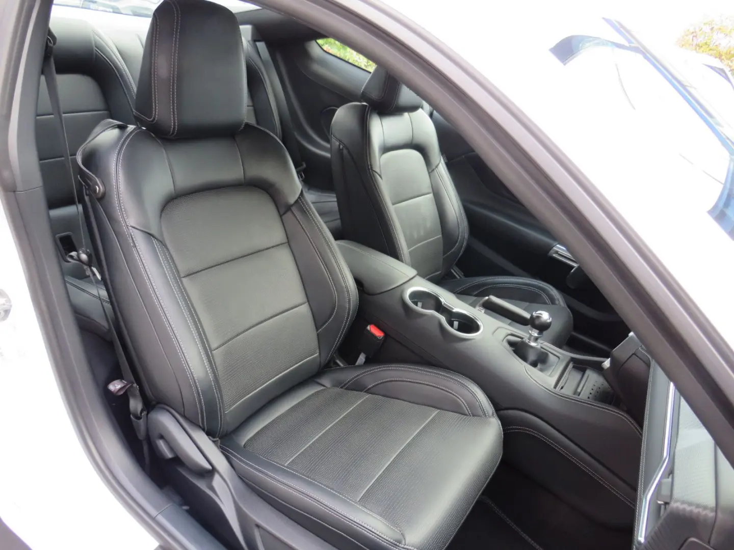 Mustang Fastback 5.0 Ti-VCT V8 328 GT DE Modell