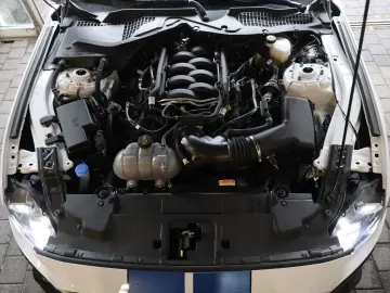 Mustang 5.0 V8 GT B&O SHZ LHZ SBL ACC TEMP R20