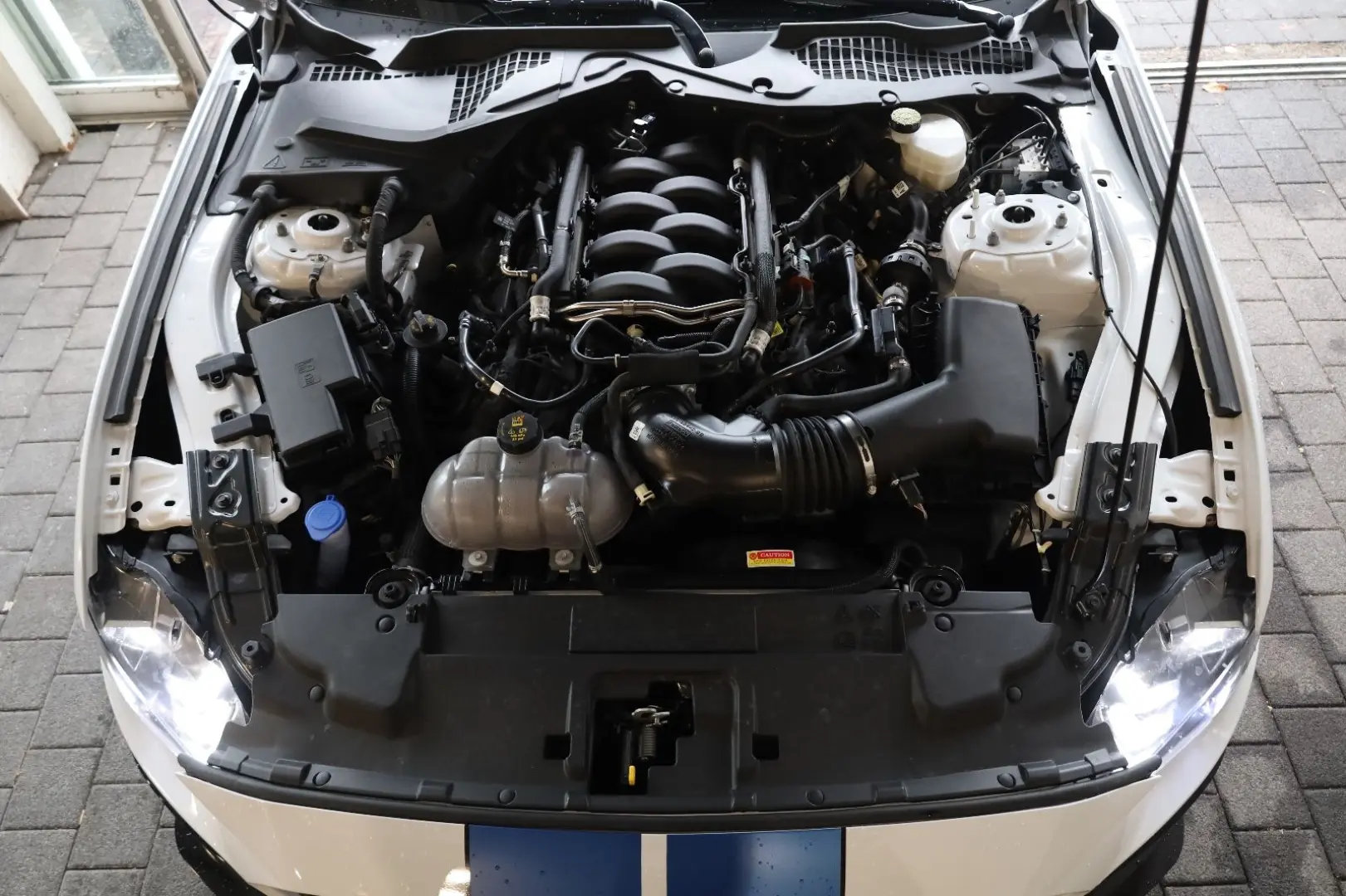 Mustang 5.0 V8 GT B&O SHZ LHZ SBL ACC TEMP R20