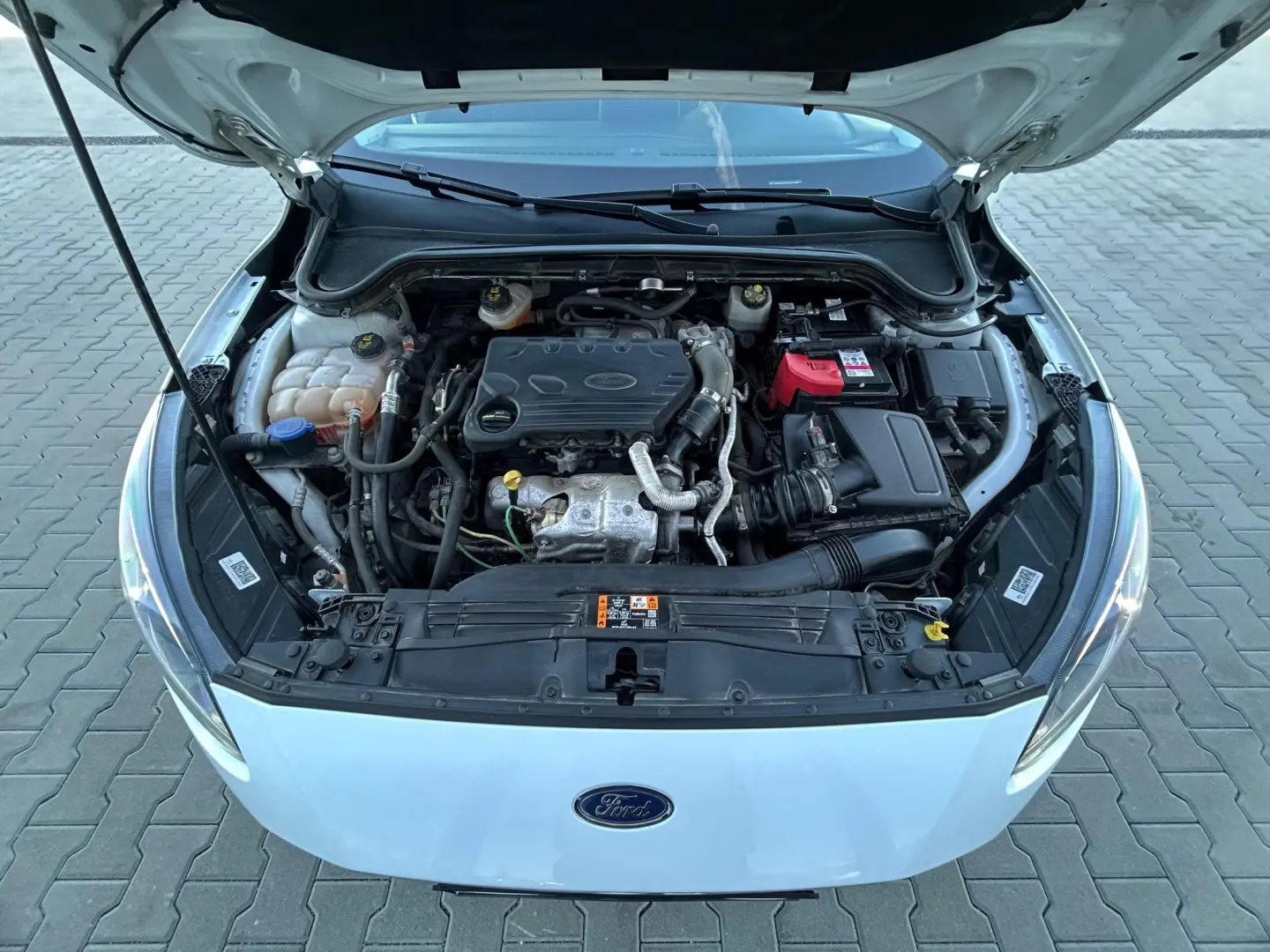 Ford Focus 1.5 EcoBlue Trend Edition 2021