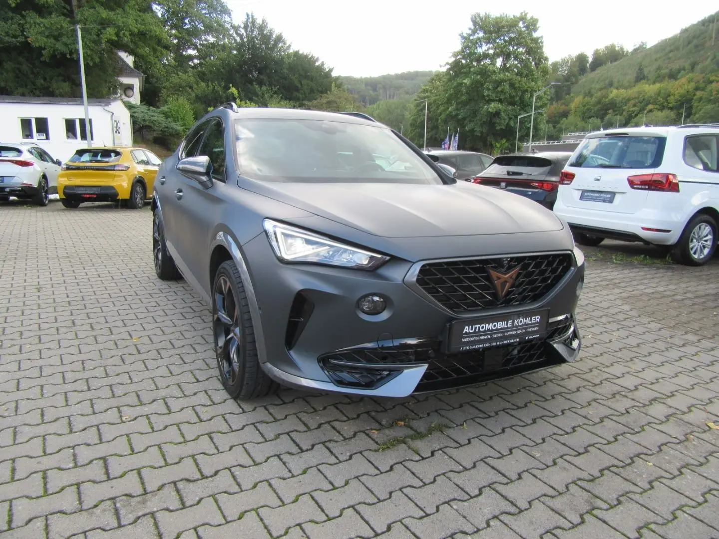 Formentor VZ 2.0 TSI 245 PS 7-Gang-DSG Matt Grau