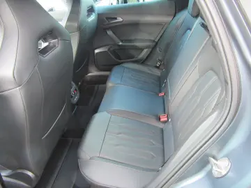 Formentor VZ 2.0 TSI 245 PS 7-Gang-DSG Matt Grau