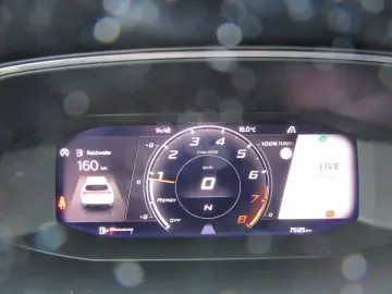 Formentor VZ 2.0 TSI 245 PS 7-Gang-DSG Matt Grau