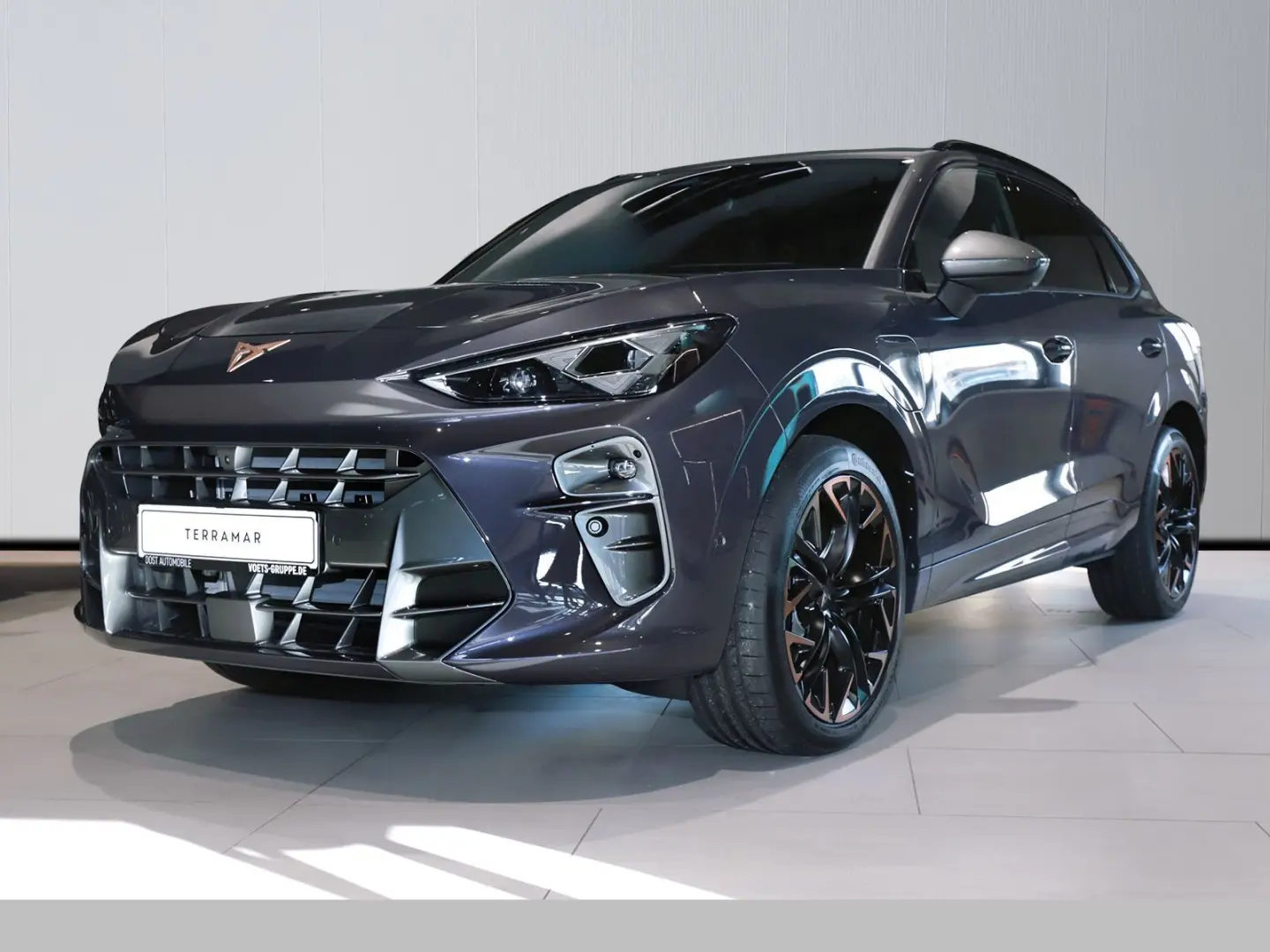 Terramar VZ 1.5 e-HYBRID DSG LEDER PANO