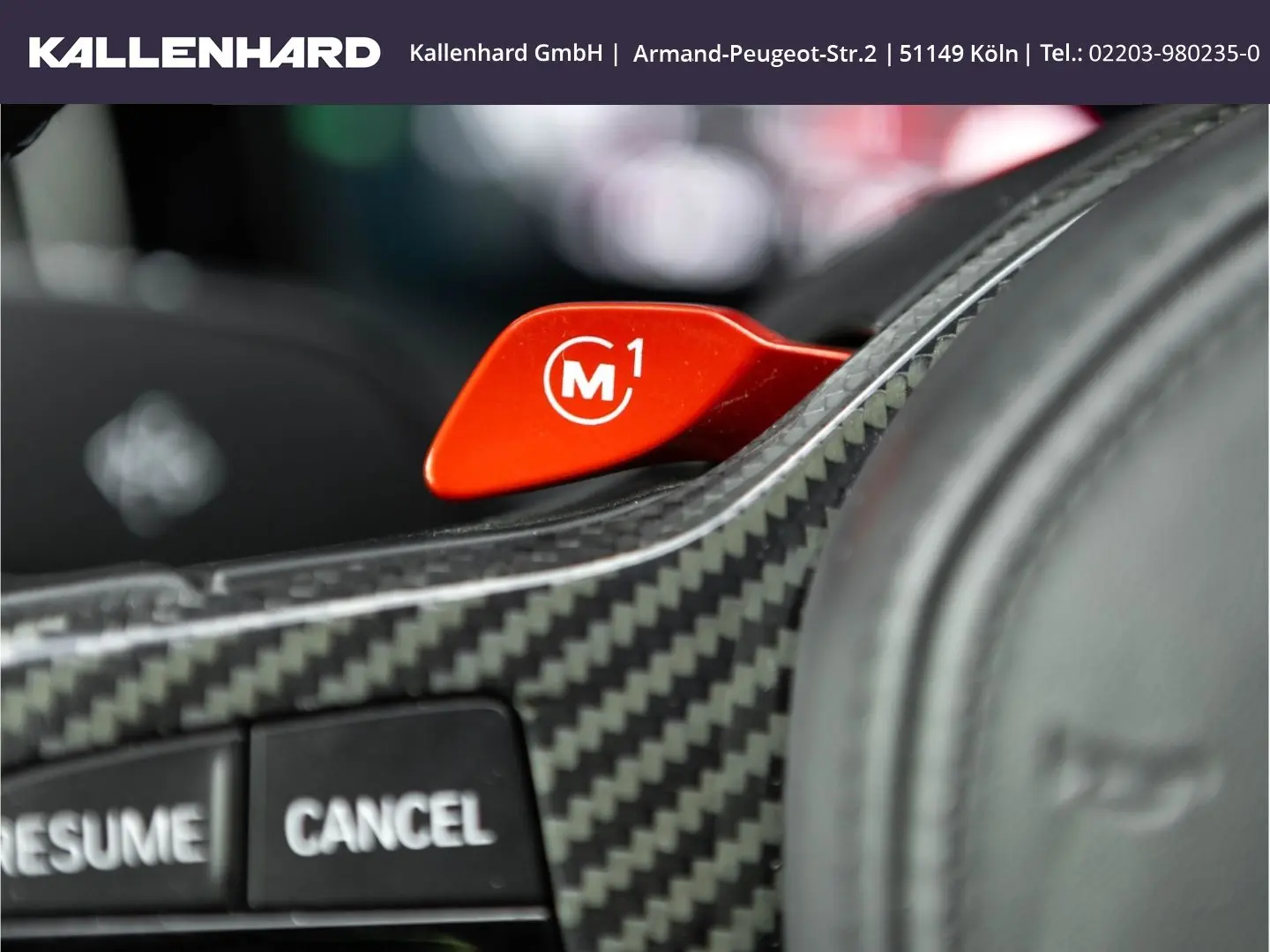 M3 Manuell-Ind.FrozenBlack-Carbon Bremse