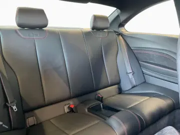 M2 CS Coupé DKG - 19 LM Kamera Adapt.LED PDC