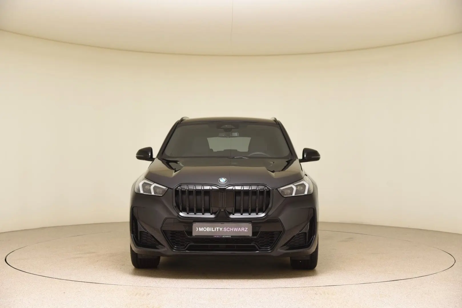 X1 xDrive23d M Sportpaket ParkAss ACC UVP 63.940