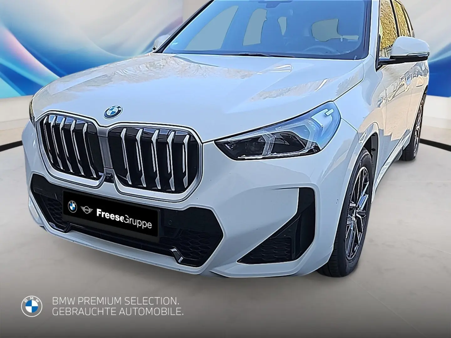 X1 sDrive18d M Sportpaket Head-Up DAB LED RFK