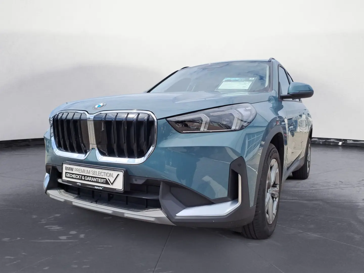 X1 sDrive18i Steptronic Komfortzugang