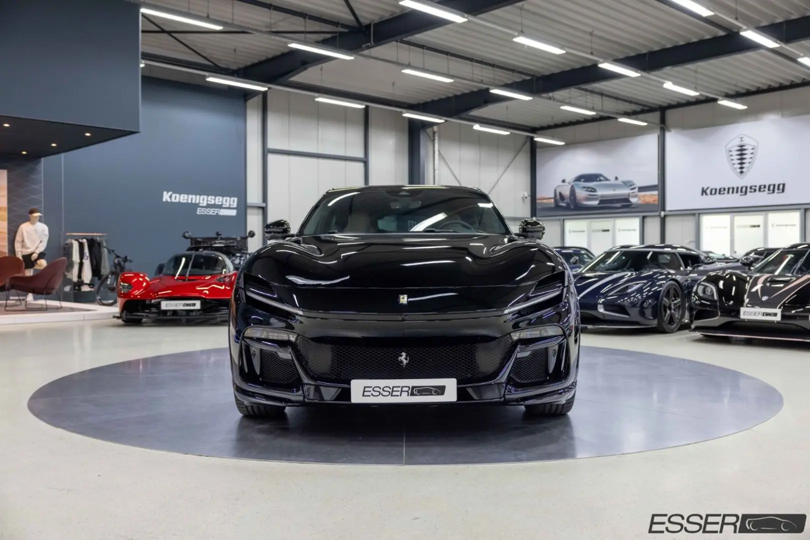 Purosangue   360    Pano.