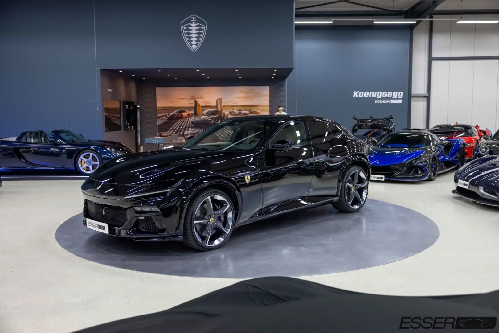 Purosangue   360    Pano.