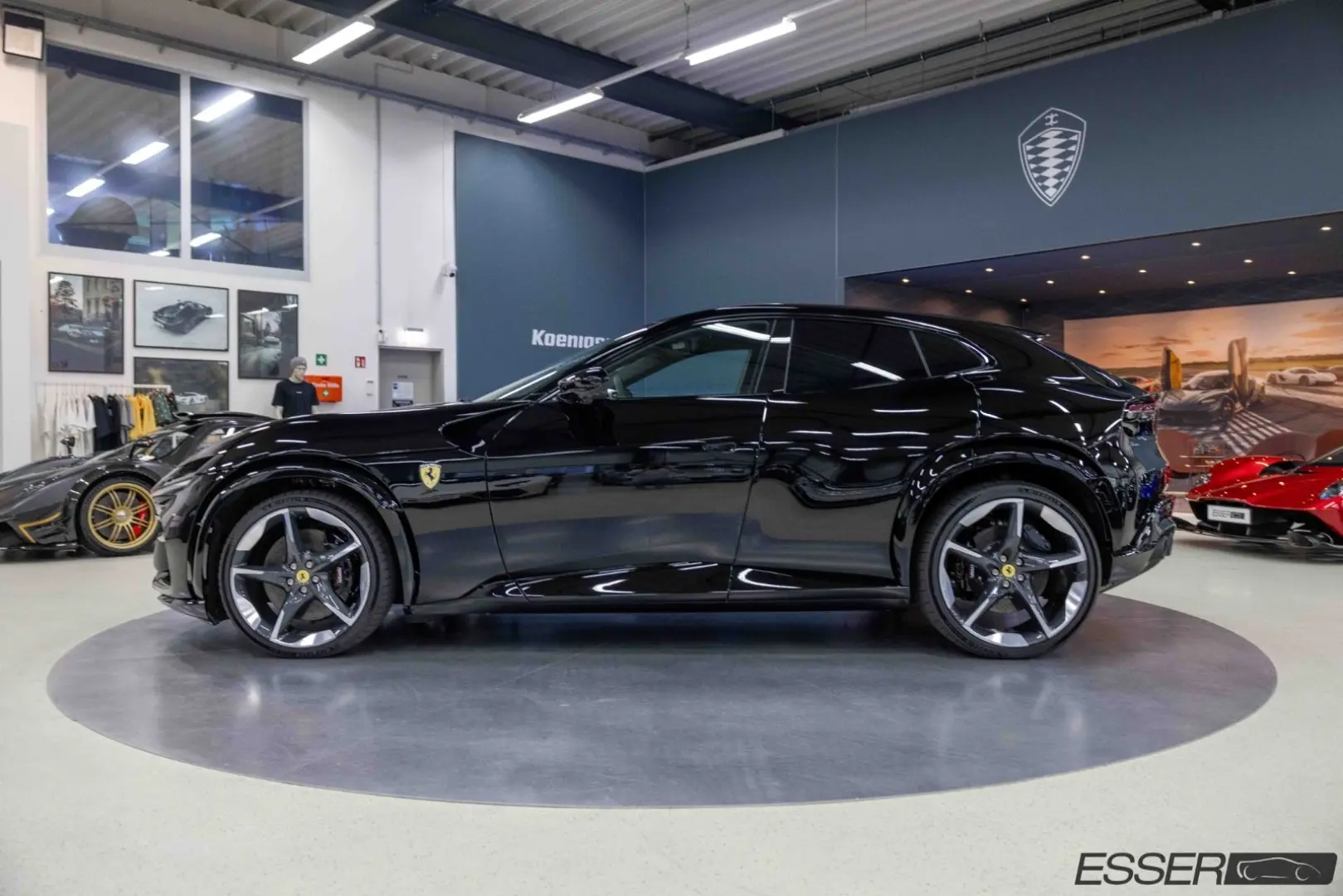 Purosangue   360    Pano.