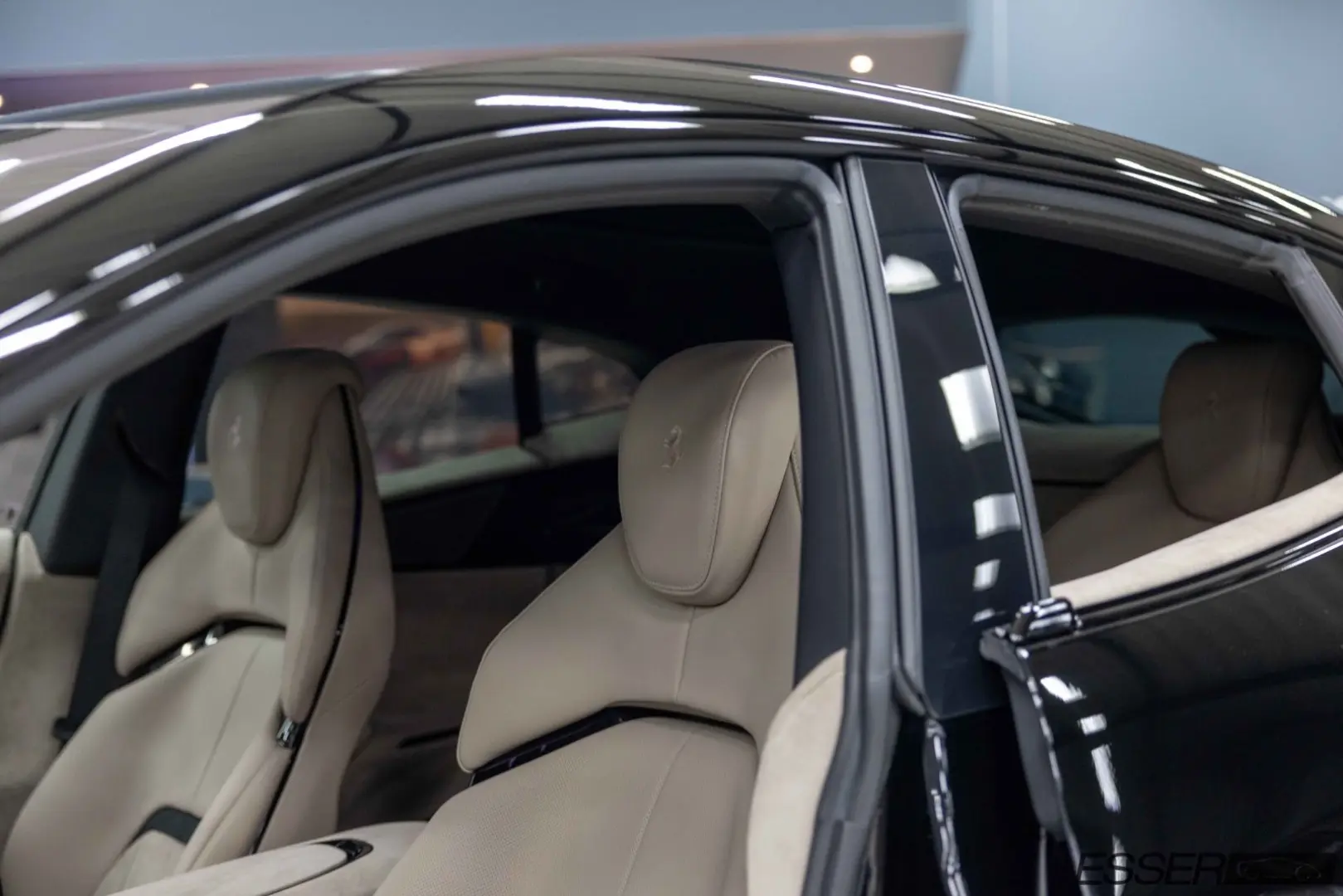 Purosangue   360    Pano.