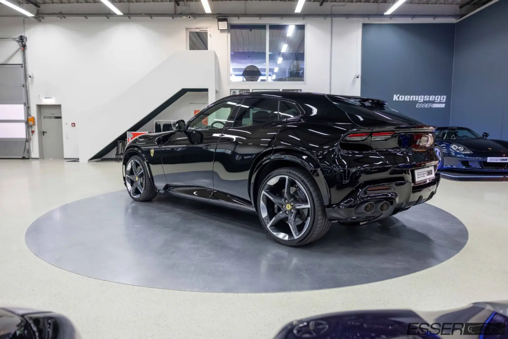 Purosangue   360    Pano.