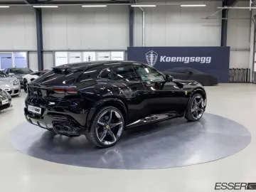 Purosangue   360    Pano.