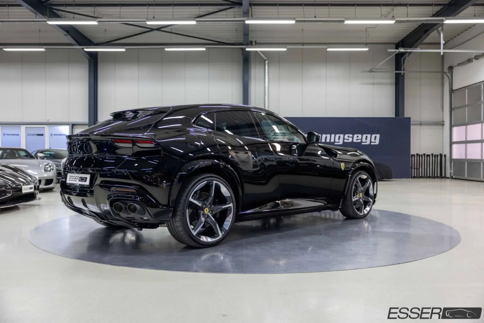 Purosangue   360    Pano.