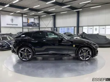 Purosangue   360    Pano.