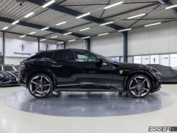 Purosangue   360    Pano.