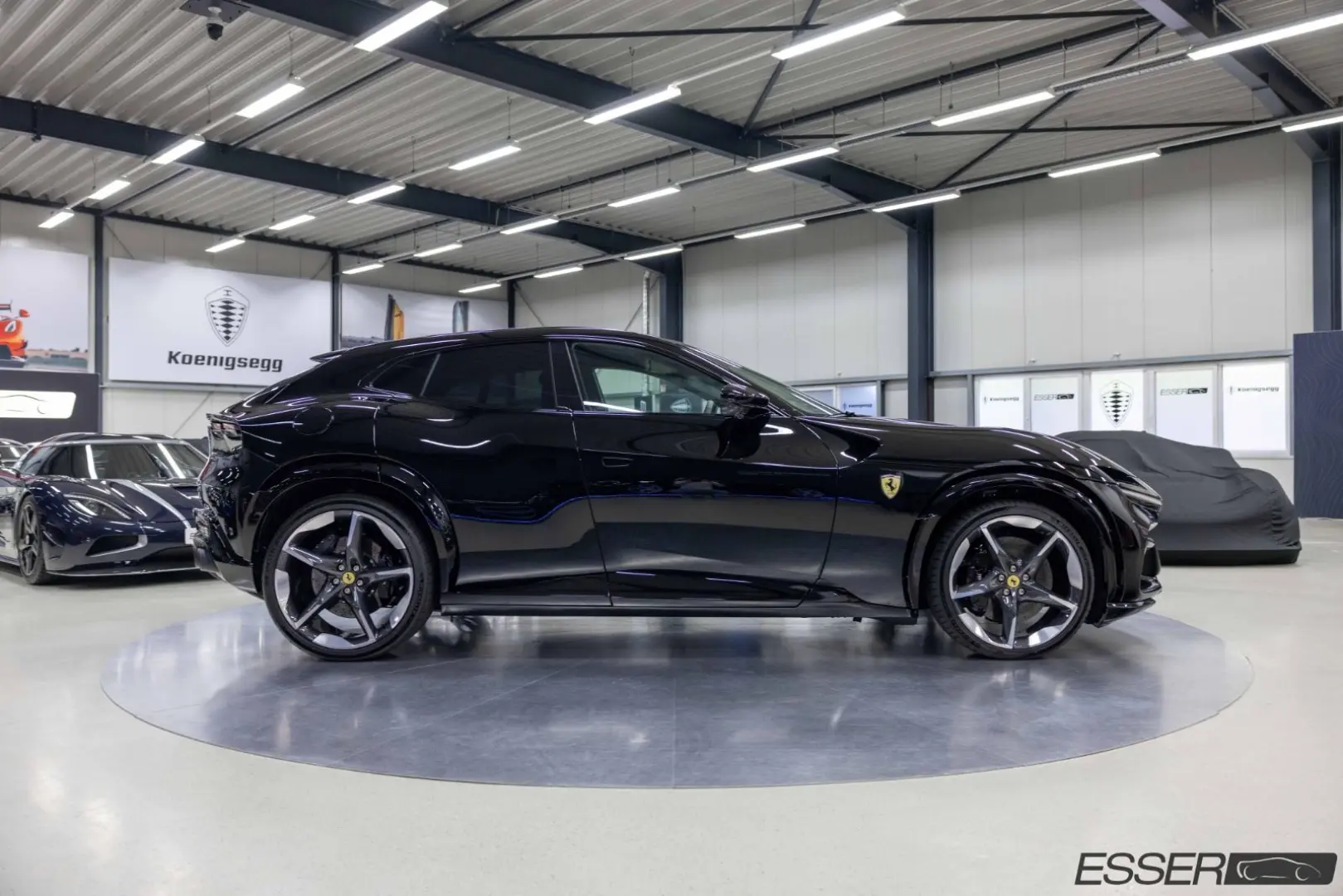 Purosangue   360    Pano.