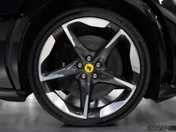 Purosangue   360    Pano.