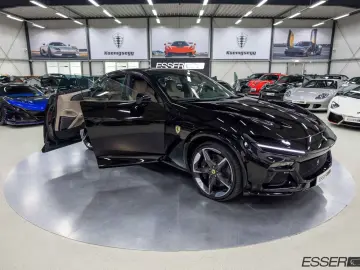 Purosangue   360    Pano.