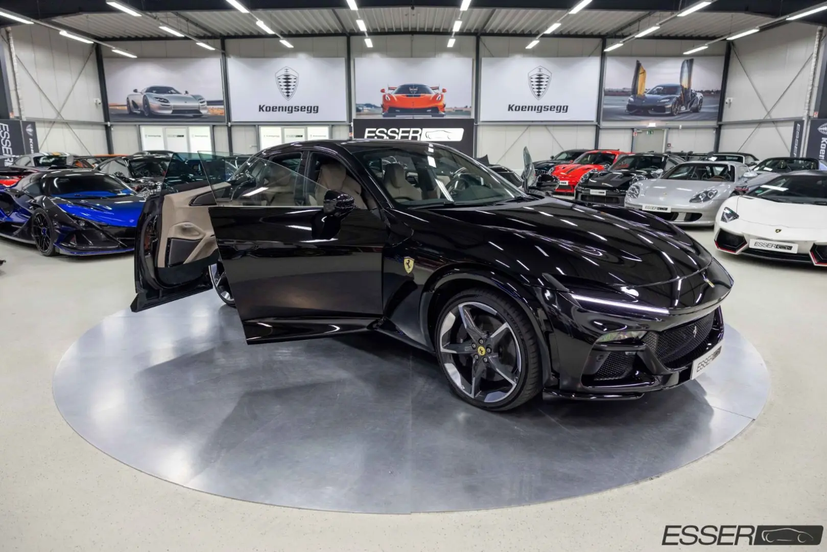 Purosangue   360    Pano.