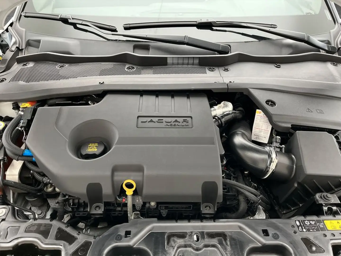 E-Pace D165 AWD Aut.