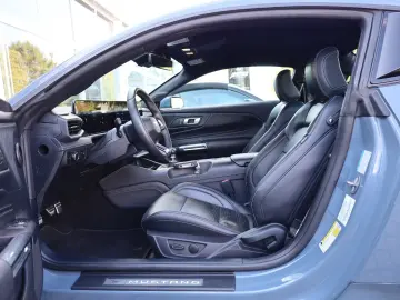 Mustang 5.0 Ti-VCT V8 GT ACC SHZ LHZ RFK TTW R19