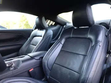 Mustang 5.0 Ti-VCT V8 GT ACC SHZ LHZ RFK TTW R19