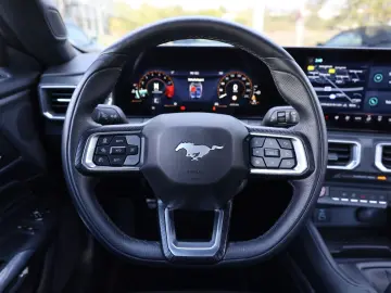 Mustang 5.0 Ti-VCT V8 GT ACC SHZ LHZ RFK TTW R19