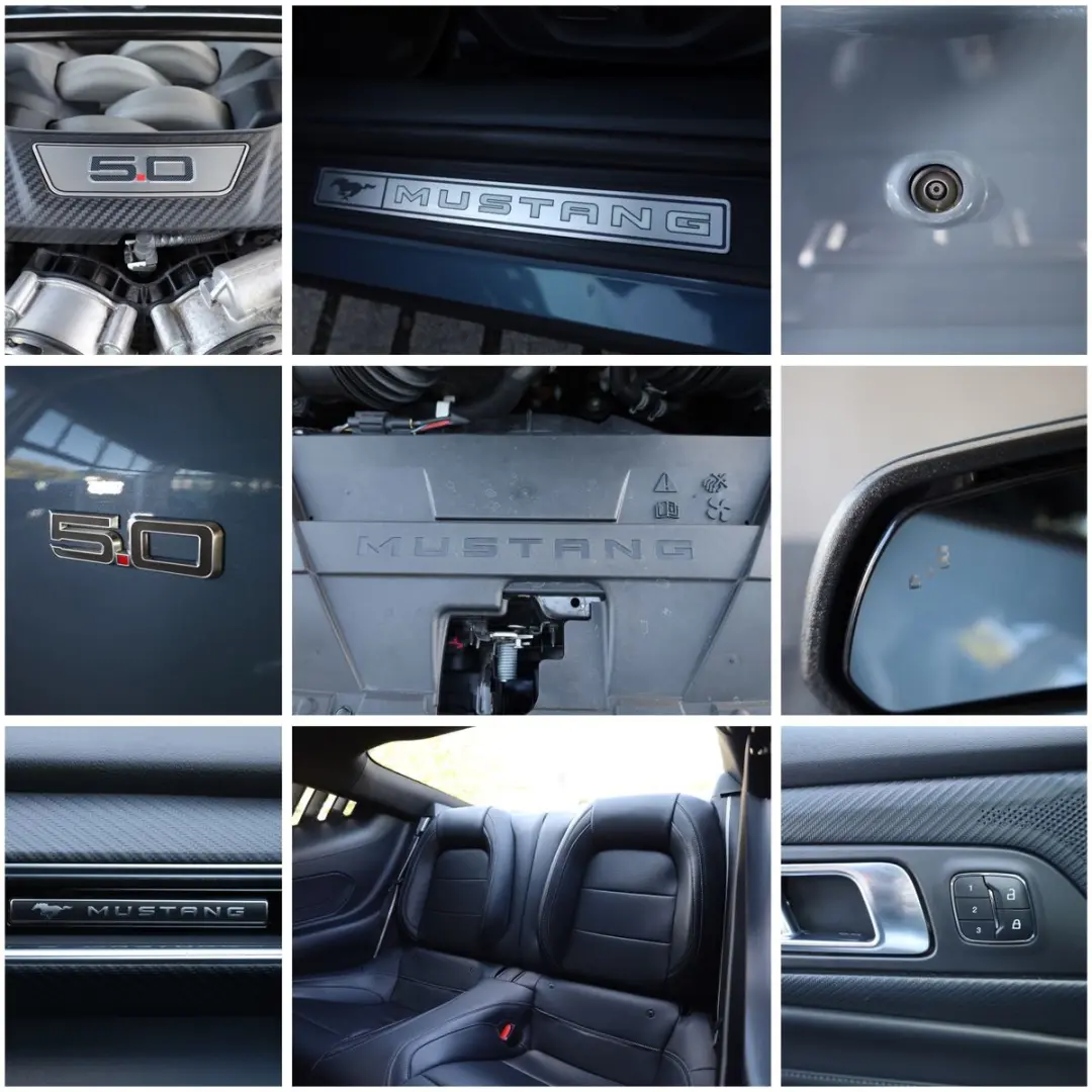 Mustang 5.0 Ti-VCT V8 GT ACC SHZ LHZ RFK TTW R19