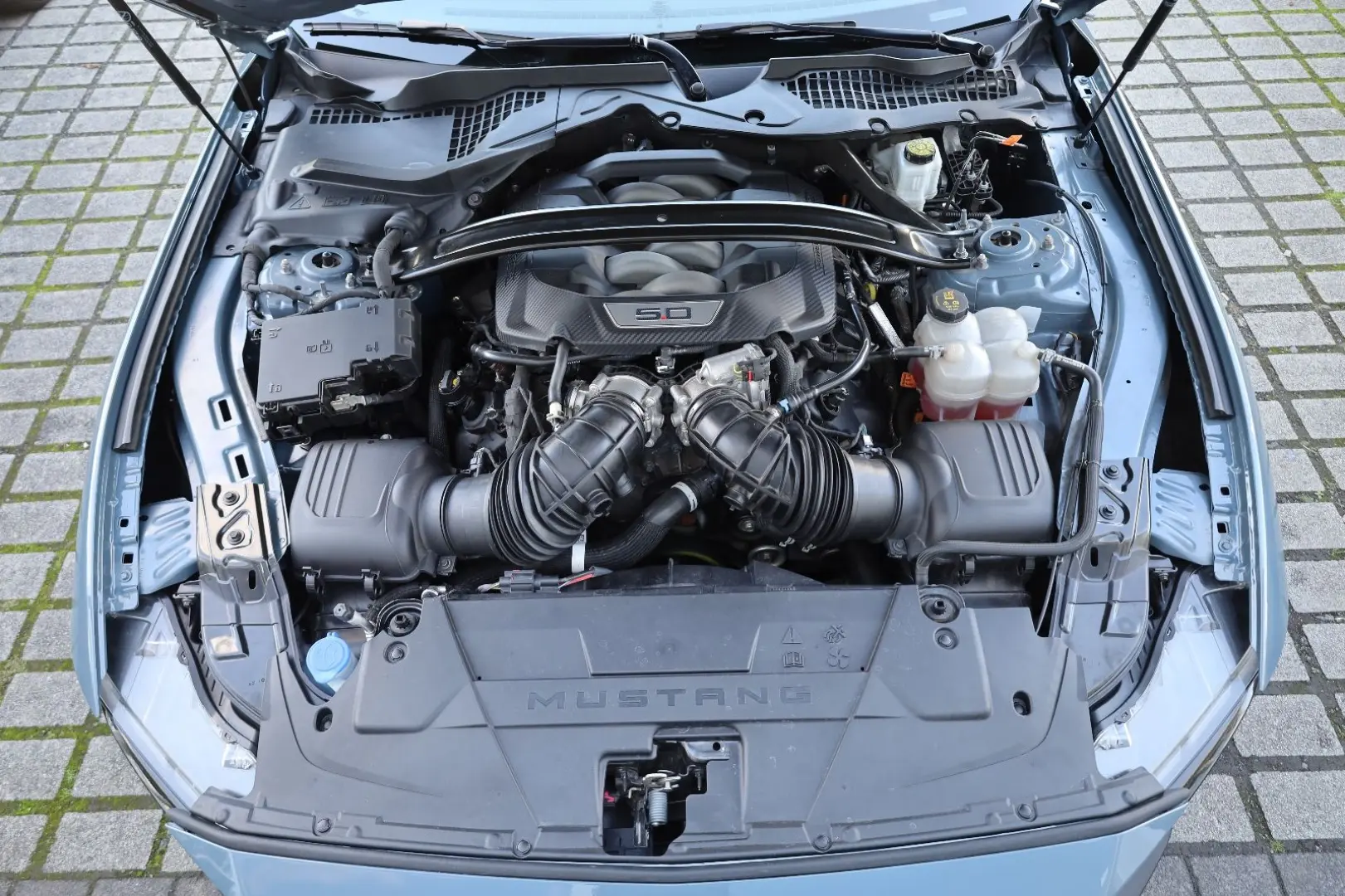 Mustang 5.0 Ti-VCT V8 GT ACC SHZ LHZ RFK TTW R19