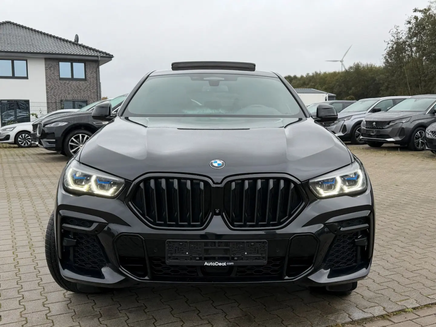 X6 xDrive 30d M Sport Paket  Panoramadach