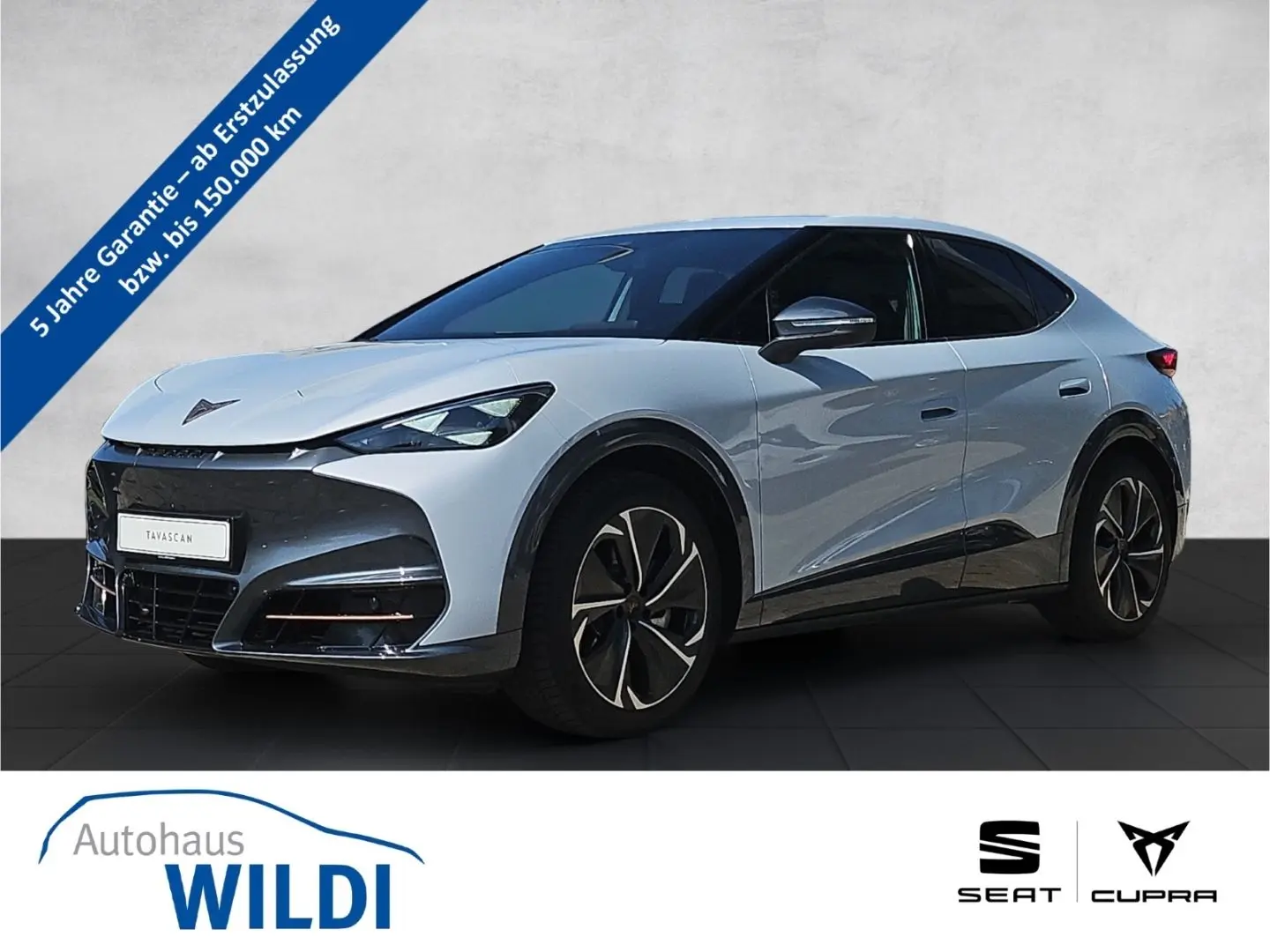 Tavascan VZ 4D 250 kW LED Navi RüKa DCC Pano ACC