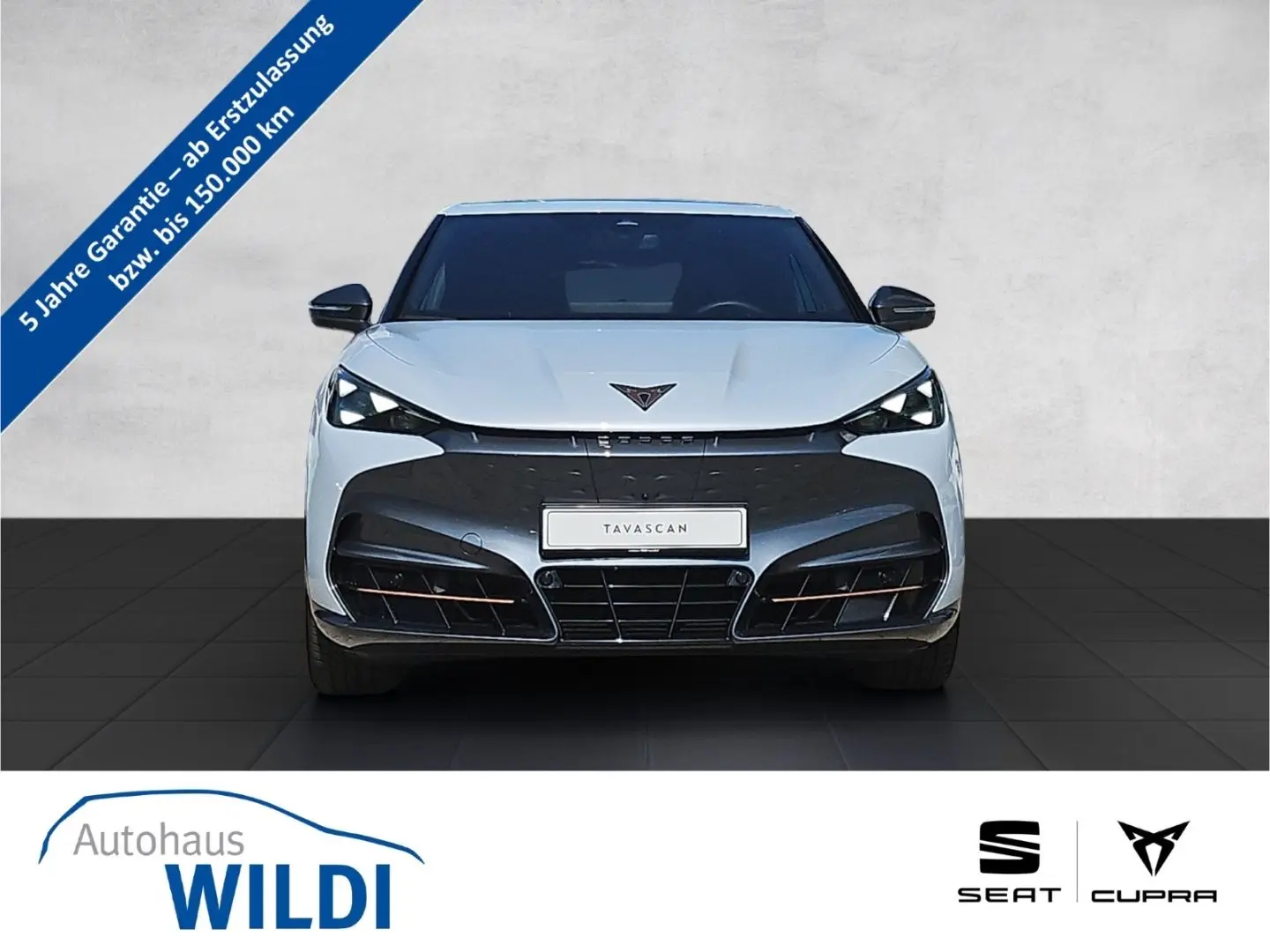 Tavascan VZ 4D 250 kW LED Navi RüKa DCC Pano ACC